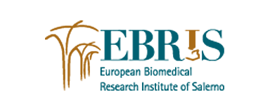 logo Ebris